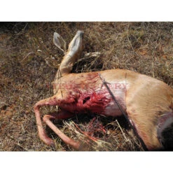 GRIM REAPER PUNTA DE CAZA PRO SERIES PACK 4 -MOMO ARCHERY 1388