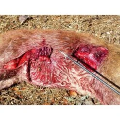 GRIM REAPER FATAL STEEL PACK 3 -MOMO ARCHERY 1558