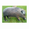 WILD LIFE DIANA 3D JABALI -MOMO ARCHERY 4159