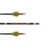 EASTON FLECHA COMPLETA POWERFLIGHT CAL. 340 2 EASTON FLECHA COMPLETA POWERFLIGHT CAL. 340 -MOMO ARCHERY 4805