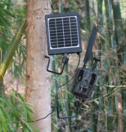 SOPORTE DE ÁRBOL 360º PARA CÁMARAS DE FOTOTRAMPEO -MOMO ARCHERY Captura de pantalla 2025 01 25 095543