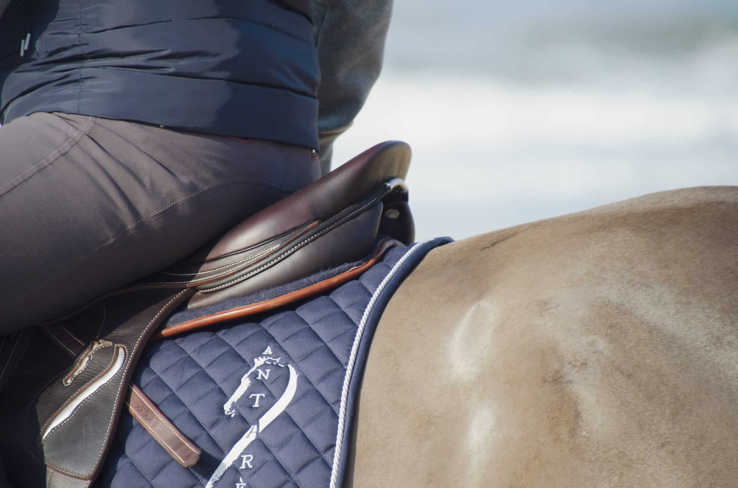 MOMO ARCHERY 27 MOMO ARCHERY -MOMO ARCHERY antares saddles collection custom saddle 4 our vision